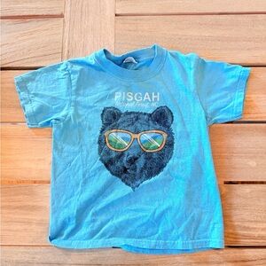 Pisgah National Forest Tee, Bright Blue with Bear, Size S